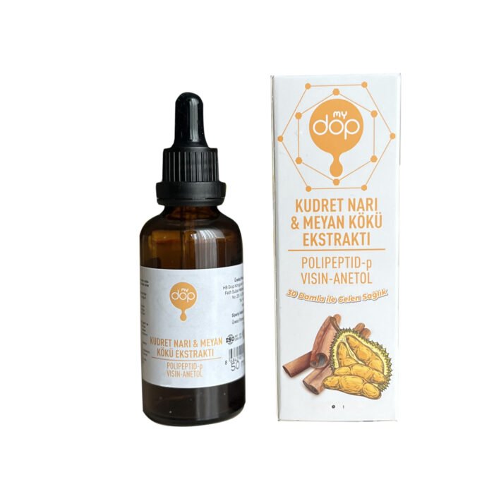 KUDRET NARI MEYAN KÖKÜ